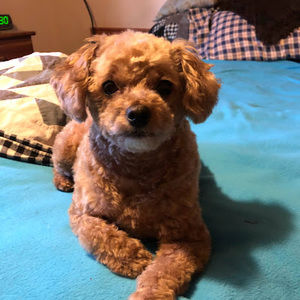 Meet your Posher, Nelly